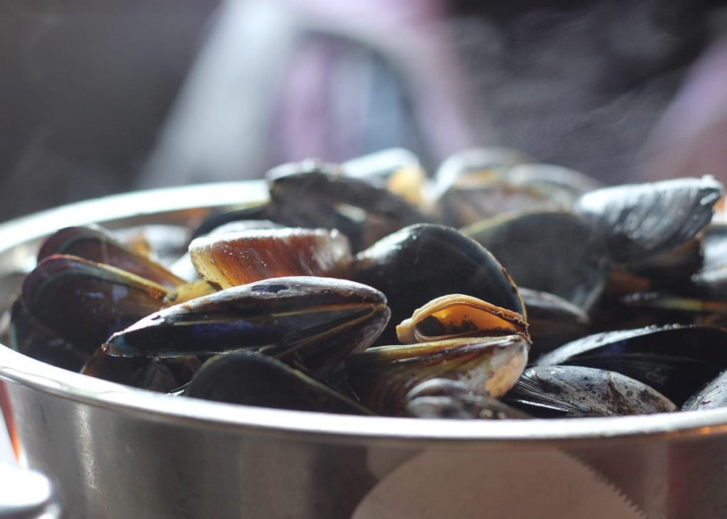 Mussels - office mum